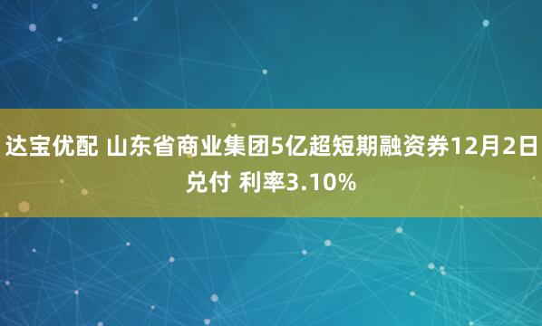 达宝优配 山东省商业集团5亿超短期融资券12月2日兑付 利率3.10%
