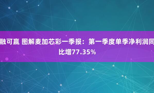 融可赢 图解麦加芯彩一季报：第一季度单季净利润同比增77.35%