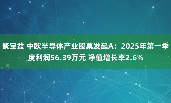 聚宝盆 中欧半导体产业股票发起A：2025年第一季度利润56.39万元 净值增长率2.6%