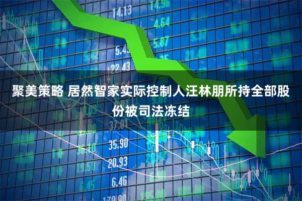 聚美策略 居然智家实际控制人汪林朋所持全部股份被司法冻结
