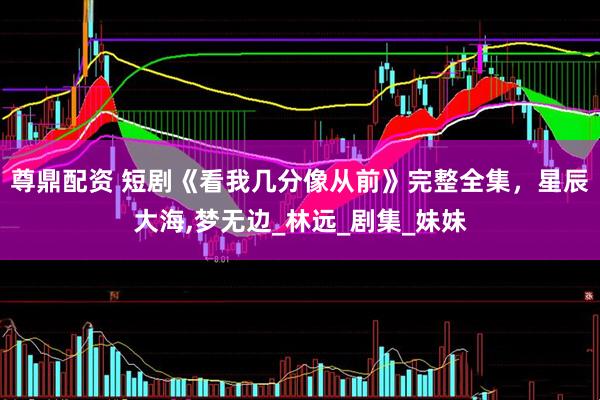 尊鼎配资 短剧《看我几分像从前》完整全集，星辰大海,梦无边_林远_剧集_妹妹
